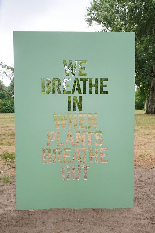 WE BREATHE IN WHEN PLANTS BREATHE OUT